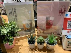 -白日梦奶茶