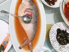 -蝶园·装修中(BFC外滩金融中心店)