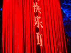 -重庆国际马戏城