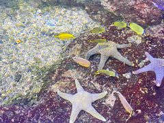 -杭州长乔极地海洋公园