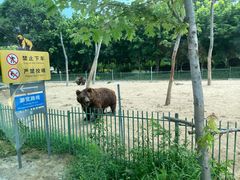 -秦皇岛野生动物园