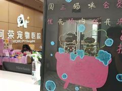 -阿荣24H宠物医院·综合型转诊中心·CT·核磁影像中心