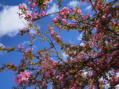 -丽江泸沽湖景区