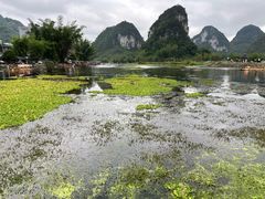 -靖西鹅泉风景区