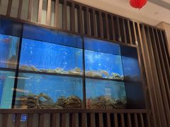 -珍宝海鲜JUMBO Seafood(尚嘉店)