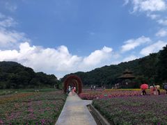 -广州市石门国家森林公园