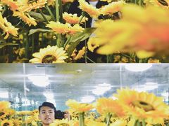 -天津梵高星空艺术馆(天河城旗舰店)