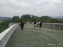 -飞凤山奥体公园