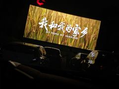 -枫花园汽车电影院(朝阳公园店)