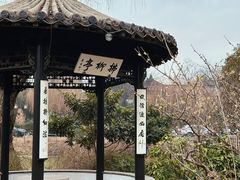 -扬州大运河文化旅游度假区·盆景园