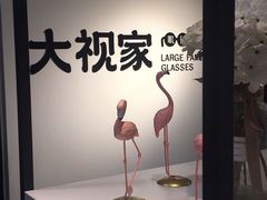 -大视家眼镜(园区星海店)