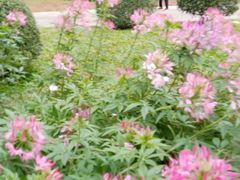 -人民公园(罗湖区)