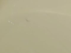 -泸溪河桃酥(秦淮夫子庙一店)