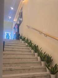 -海涛医疗美容·面部抗衰·注射美鼻