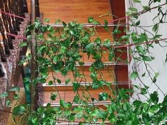 -唐河王记·南阳民间菜(国基路店)