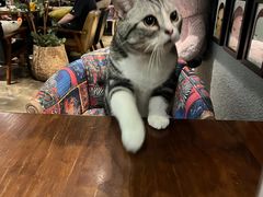 -咖法森林·咖啡  酒吧(天河店)