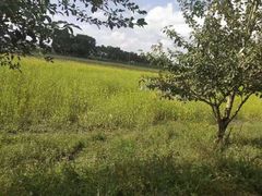 -沽源味道蒙餐莜面家常菜