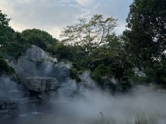 -东莞植物园