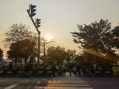 -洲头咀公园
