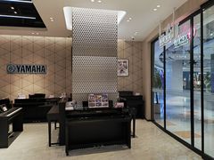 -知音艺术教育培训·钢琴培训·音乐培训(河西金鹰世界校区)