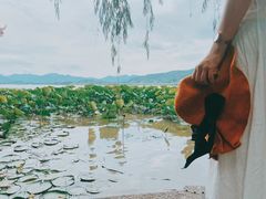 -西湖游船