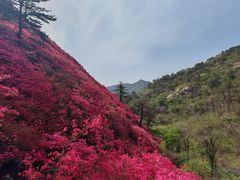 -木兰云雾山