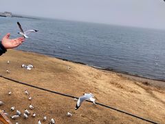 -青海湖二郎剑景区