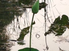 -昆山城市生态森林公园