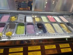-莓园冰淇淋店