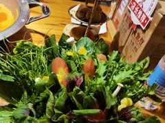 -老凯俚酸汤鱼(鸿通城店)