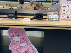 -Sony Store 索尼(上海淮海中路店)