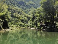 -芦茨金富饭庄·25年老字号·专做稻草鸡