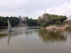 -石湾公园