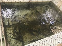 -望湖烤鱼