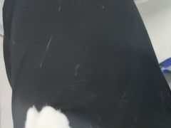 -房东的猫宠物生活馆