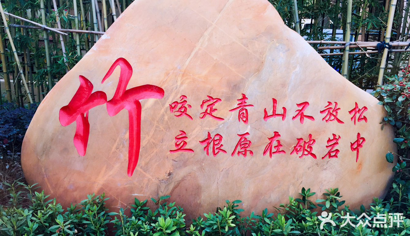 梅兰竹菊诗情画意——清风园（菊花盛开中）