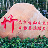梅兰竹菊诗情画意——清风园（菊花盛开中）