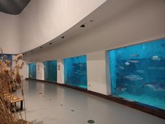 -上海长江河口科技馆