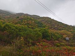 -云岫谷游猎自然风景区