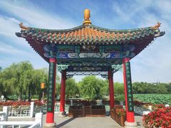 -长春市南湖公园