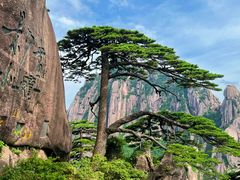 -黄山风景区