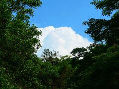 -风云岭森林公园