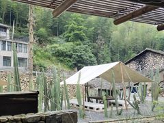 -MOJ coffee(瓯海泽雅水碓坑店)