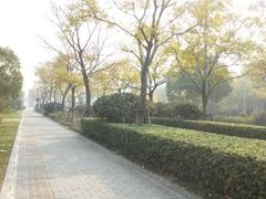 android_upload_pic-新江湾城公园