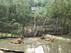 -溱湖国家湿地公园