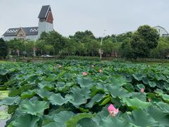 -美兰湖景区