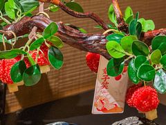 -唐猫庭院·千年陕菜(大唐不夜城店)