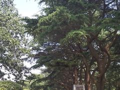 -贮水山儿童公园