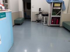 -佳怡动物医院·平价24小时·猫专科骨外科