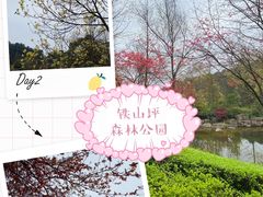 -铁山坪森林公园